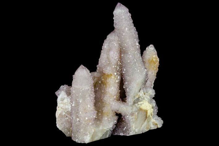 Cactus Quartz (Amethyst) Cluster - South Africa #115124